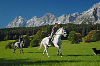 The location and the breathtaking mountain scenery are perfect for horse riding