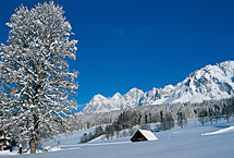 Winterzauber in Ramsau am Dachstein
